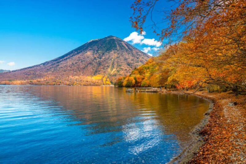 From Tokyo: Nikko Toshogu Day Tour With Traditional Lunch - Itinerary Highlights