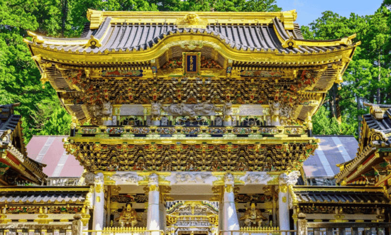 From Tokyo: Nikko Toshogu Day Tour With Traditional Lunch - Transportation Details