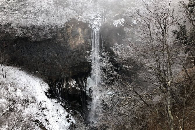 From Tokyo: Nikko Toshogu Shrine and Kegon Waterfall Tour - Itinerary Adjustments and Recommendations