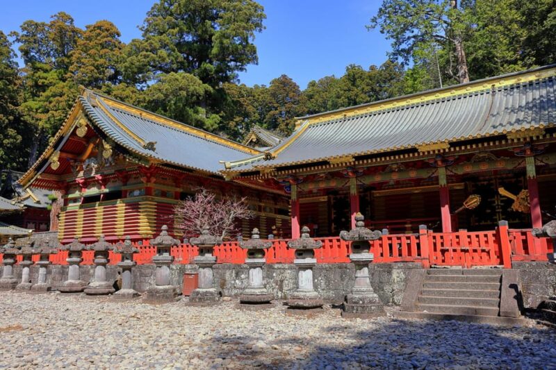 From Tokyo: Nikko, Toshogu Shrine, Waterfall, & Lake Trip - Key Points