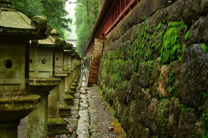 From Tokyo: Nikko, Toshogu Shrine, Waterfall, & Lake Trip - Lake Chuzenji