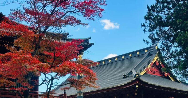 From Tokyo: Nikko Tour With Toshogu Shrine and Kegon Falls - Key Points