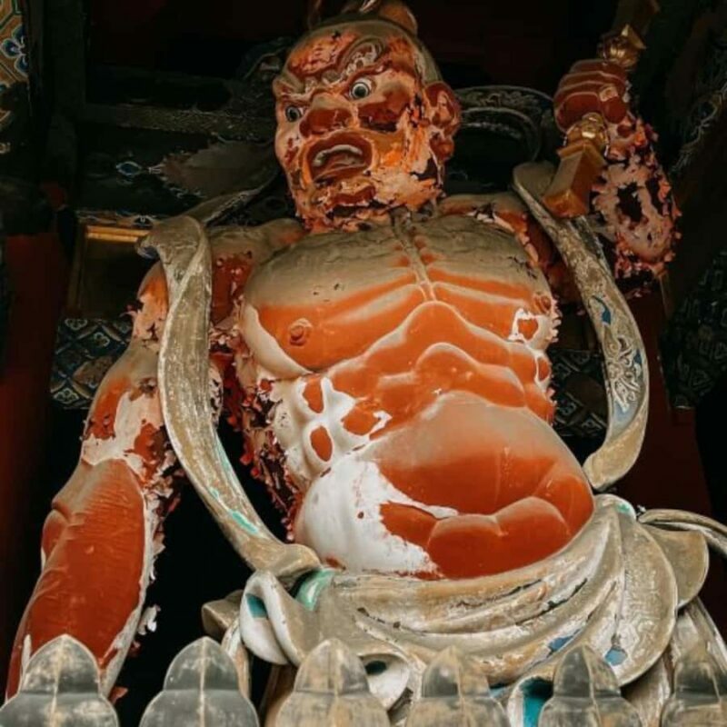 From Tokyo: Nikko Tshog Private Tour Customizable Day Trip - An In-Depth Look at the Tour Experience