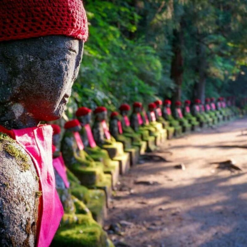 From Tokyo: Nikko Tshog Private Tour Customizable Day Trip - Flexibility and Customization