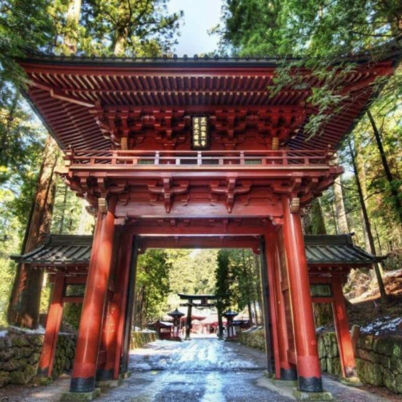 From Tokyo: Nikko Tshog Private Tour Customizable Day Trip - Who Will Love This Tour?