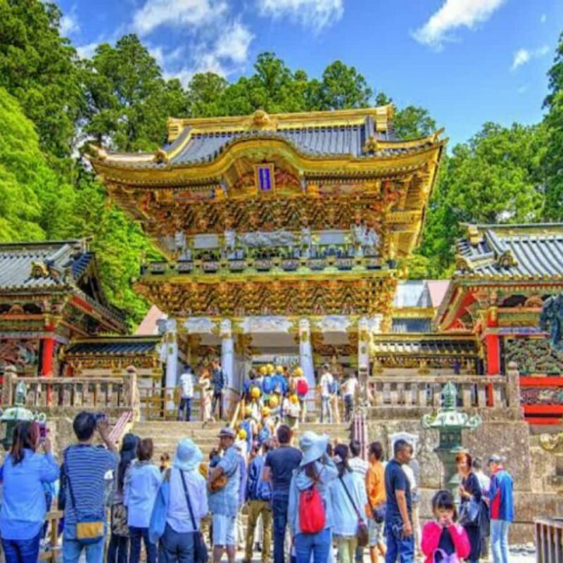 From Tokyo: Nikko Tshog Private Tour Customizable Day Trip - The Sum Up