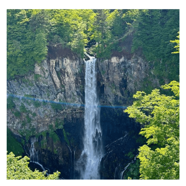 From Tokyo: Nikko Unesco Fully Customised Private Car Tour - What to Expect on the Tour