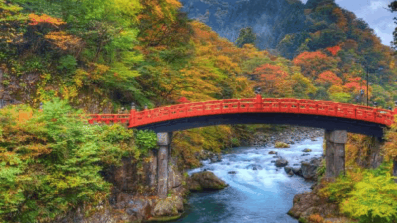From Tokyo: Nikko World Heritage Full Day Private Tour - Itinerary Highlights