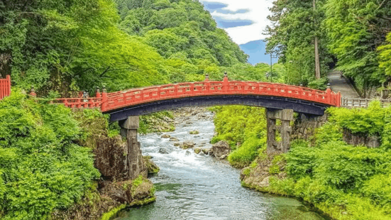 From Tokyo: Nikko World Heritage Full Day Private Tour - Transportation and Accessibility