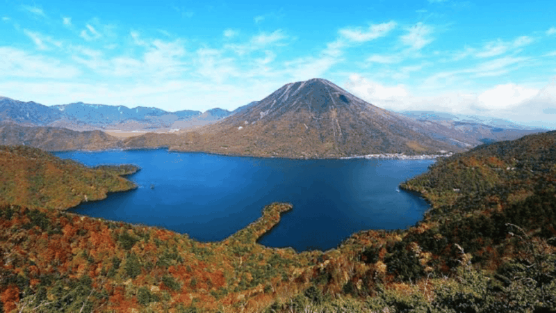From Tokyo: Nikko World Heritage Full Day Private Tour - Included Services