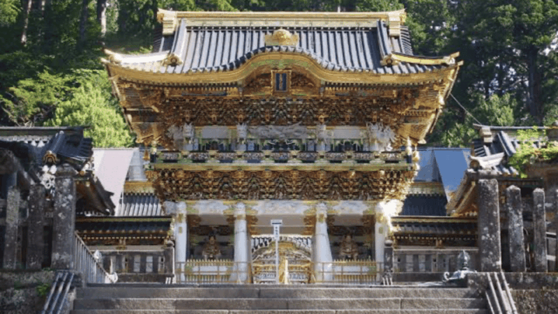 From Tokyo: Nikko World Heritage Full Day Private Tour - Important Information and Customer Feedback