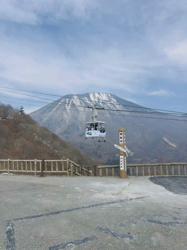 From Tokyo: Nikko World Heritage Private Tour with Guide - Key Points