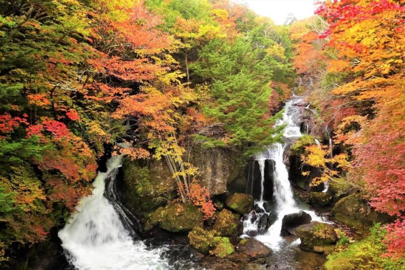 From Tokyo: Nikko World Heritage Sight Full Day Private Tour - Itinerary Highlights
