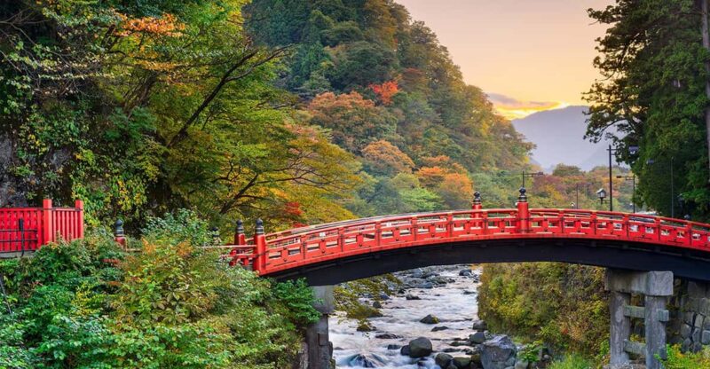 From Tokyo: Nikko World Heritage Sight Full Day Private Tour - Important Information and Recommendations