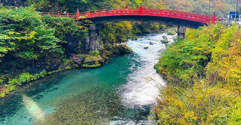 From Tokyo: Nikko World Heritage Sight Private Full Day Tour - Driver and Vehicle Details