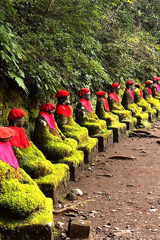 From Tokyo: Nikko World Heritage Sight Private Full Day Tour - Customization Options