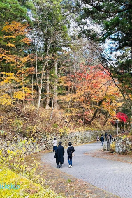 FROM TOKYO: NIKKO WORLD HERITAGE SIGHTS PRIVATE TOUR - Packing and Prohibited Items