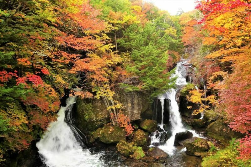 From Tokyo: Nikko World Heritage Site Private Full-Day Trip - Itinerary Breakdown: What to Expect