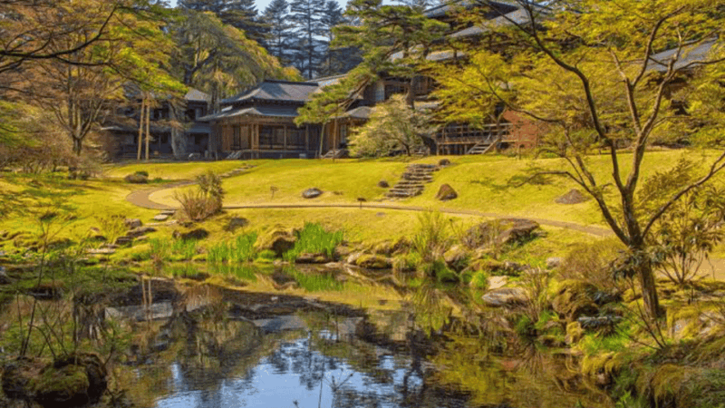 From Tokyo: Niko Full Day Private Tour With English Chauffer - Nikko National Park