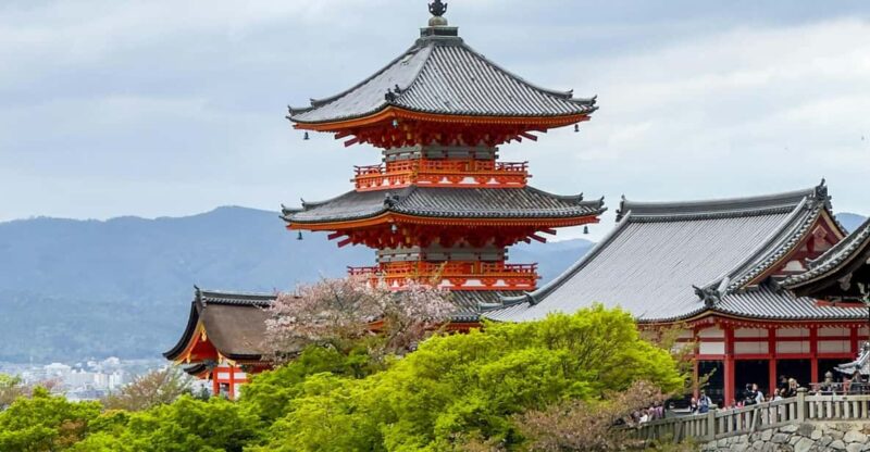 From Tokyo: Private Day Trip to Hakone With English Driver - Key Points