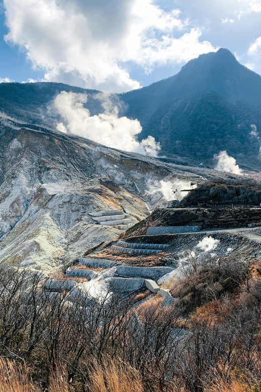 From Tokyo: Private Day Trip to Hakone With English Driver - Experience the Hakone Ropeway