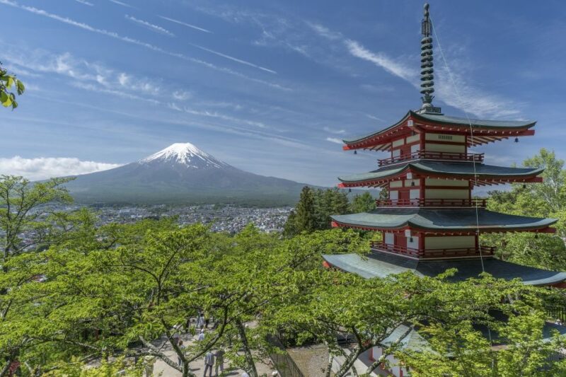 From Tokyo: Private Day Trip to Kawaguchi-ko Lake - Experience Highlights