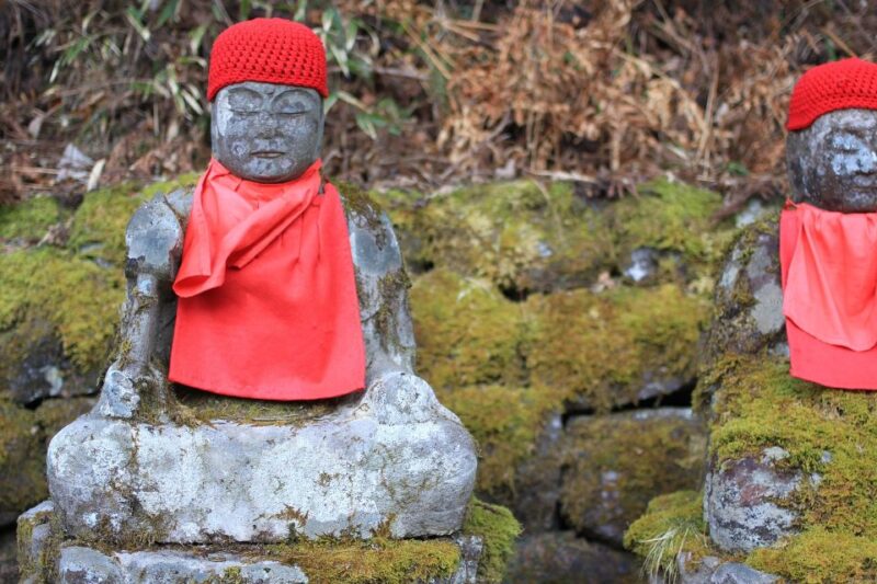 From Tokyo: Private Day Trip to Nikko - Booking Information