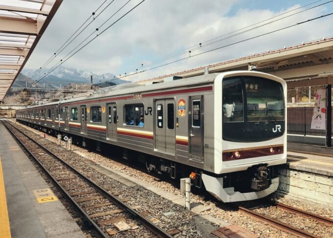 From Tokyo: Private Day Trip to Nikko - Nikko National Park Adventure