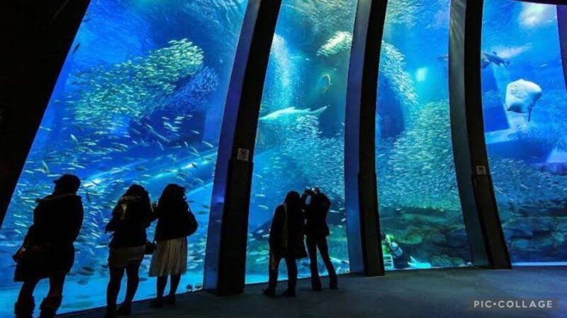 From Tokyo: Private Full Day Yokohama Tour W/Hotel Pick up - Key Points
