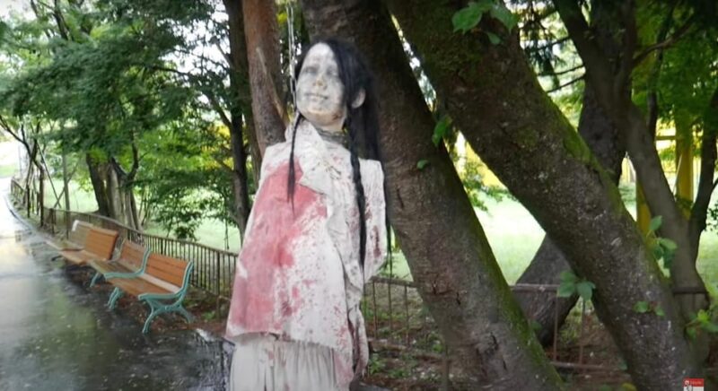 From Tokyo: Private Haunted Spots Tour With Entry Tickets - Transportation & Accessibility
