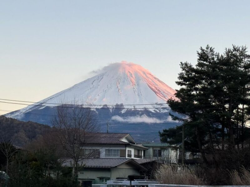 From Tokyo: Private Mount Fuji and Hakone Day Trip - Itinerary Highlights