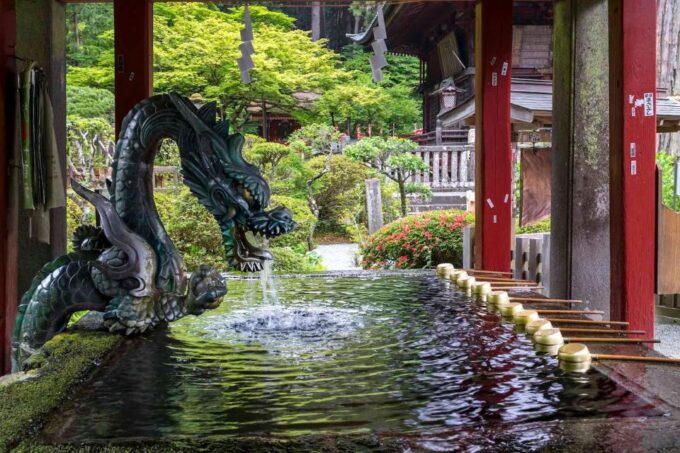 From Tokyo: Private Mount Fuji and Hakone Day Trip - Hakone Ropeway (optional)