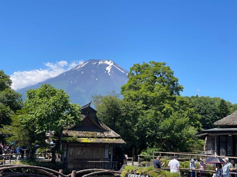 From Tokyo: Private Mt. Fuji Tour With Guide - Key Points