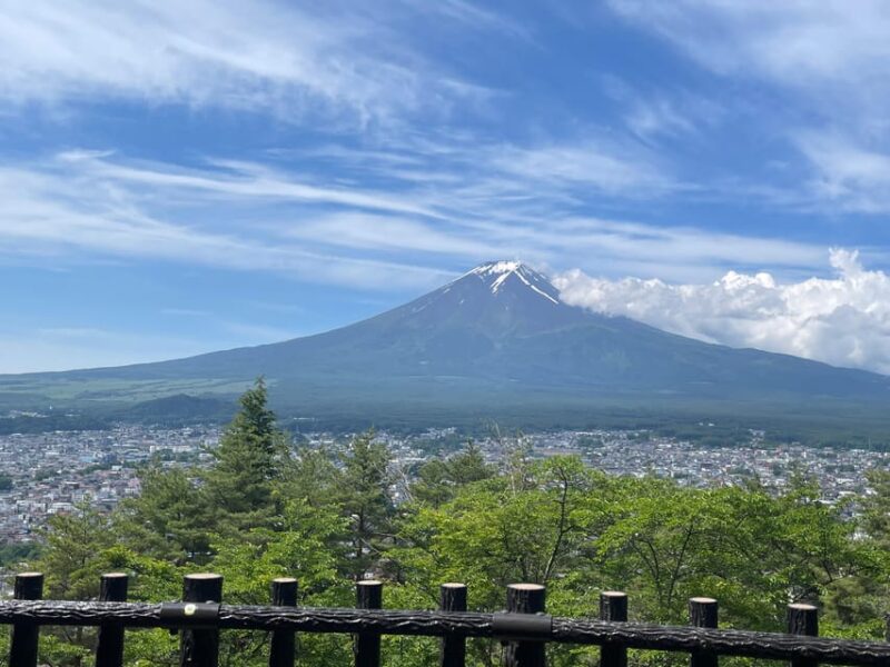 From Tokyo: Private Mt. Fuji Tour With Guide - Included Highlights