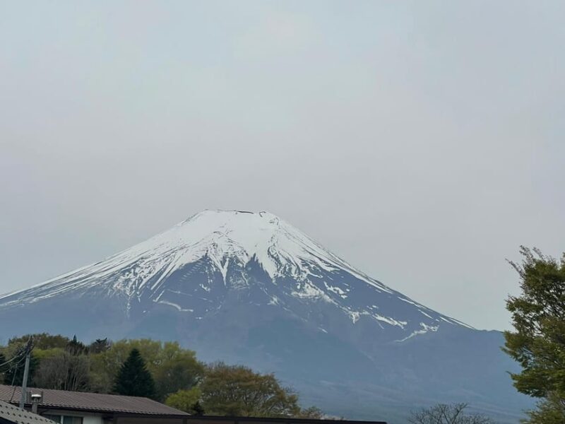 From Tokyo: Private Mt. Fuji Tour With Guide - Restrictions