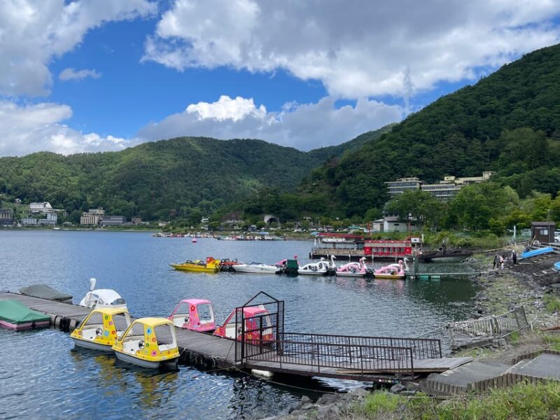 From Tokyo: Private Mt. Fuji Tour With Guide - Private Transportation
