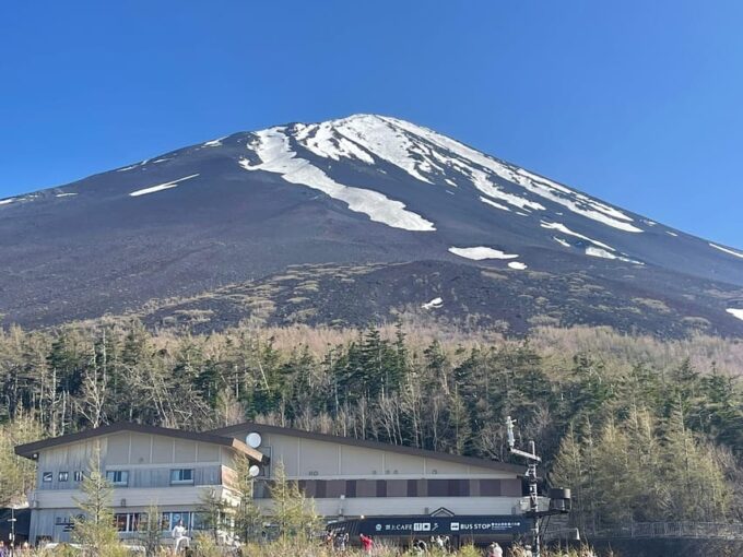 From Tokyo: Private Mt. Fuji Tour With Guide - English-speaking Guide