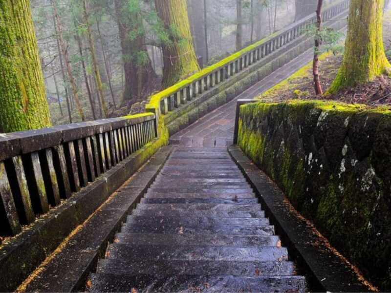 From Tokyo: Private Nikko World Heritage Sights Day Trip - Itinerary