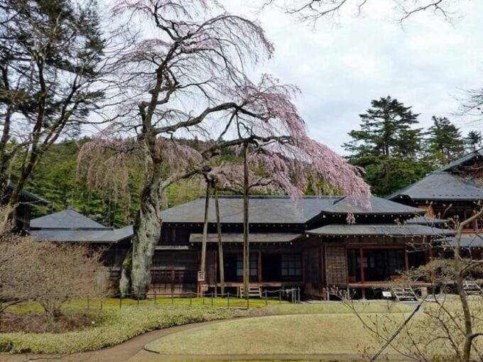 From Tokyo: Private Nikko World Heritage Sights Day Trip - Pickup Locations