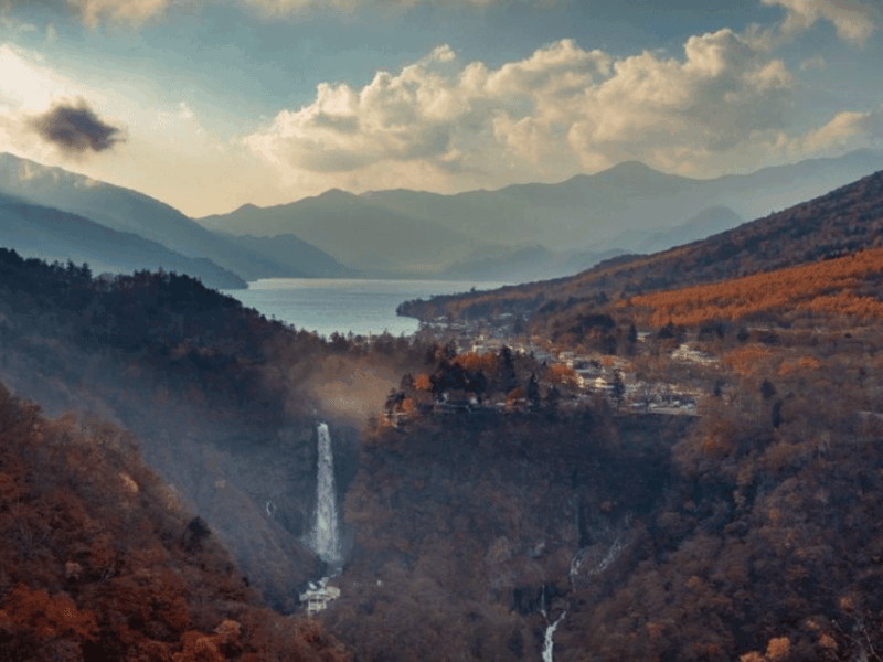 From Tokyo: Private Nikko World Heritage Sights Day Trip - Private Transportation Convenience