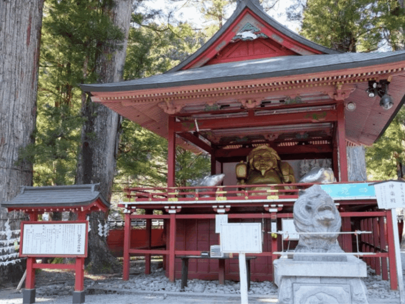 From Tokyo: Private Nikko World Heritage Sights Day Trip - On-board Wi-Fi Connectivity