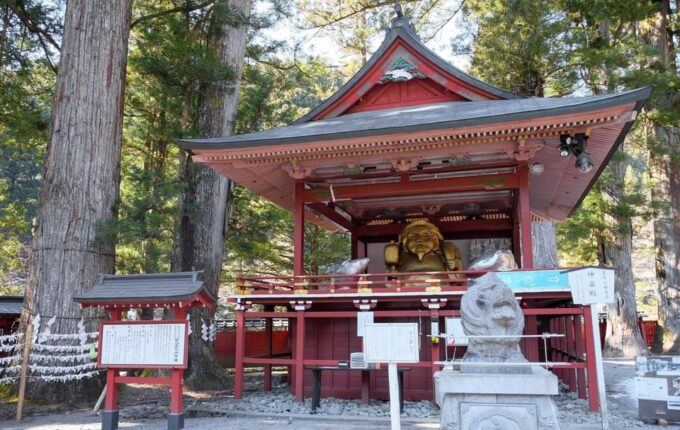 From Tokyo: Private Nikko World Heritage Sights Day Trip - Professional Guide and Driver