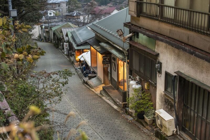 From Tokyo: Private Scenic Day Trip to Hakone - Hakone Ropeway Cable Car