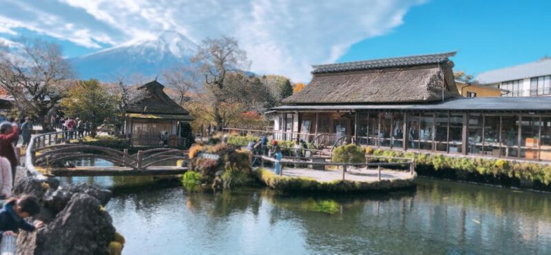 From Tokyo: Private Sightseeing Tour to Mount Fuji & Hakone - Pricing and Booking