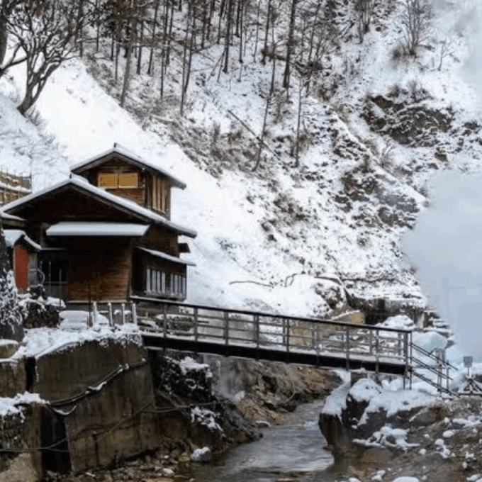 From Tokyo: Private Tour Snow Monkey Park & Zenko-ji Temple - Obuse
