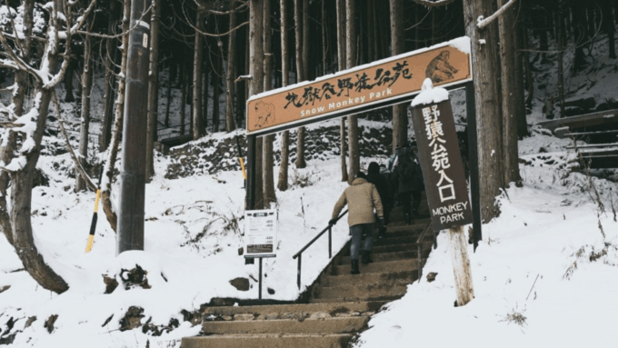 From Tokyo: Private Tour Snow Monkey Park & Zenko-ji Temple - Customer Experience