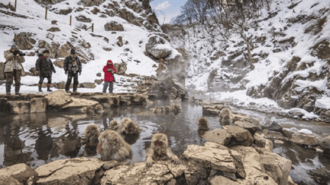 From Tokyo: Private Tour Snow Monkey Park & Zenko-ji Temple - Zenko-ji Temple