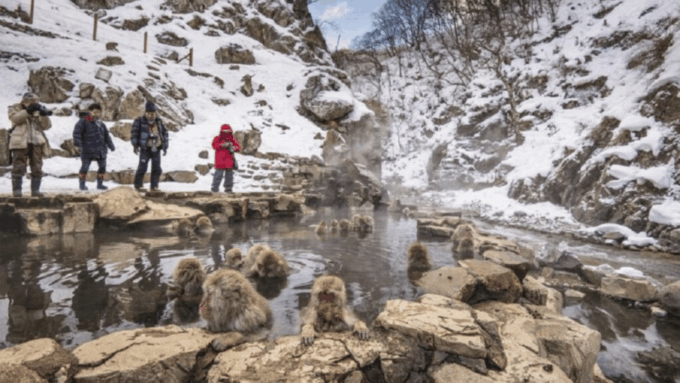 From Tokyo: Private Tour Snow Monkey Park & Zenko-ji Temple - Additional Locations
