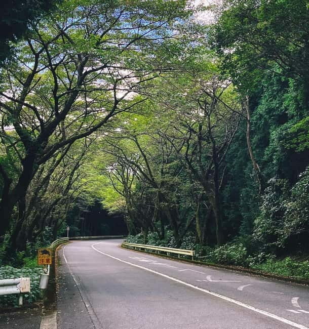From Tokyo: Private Tour to Fuji/Hakone - Onsen, Art, Nature - The Scenic Beauty and Cultural Highlights