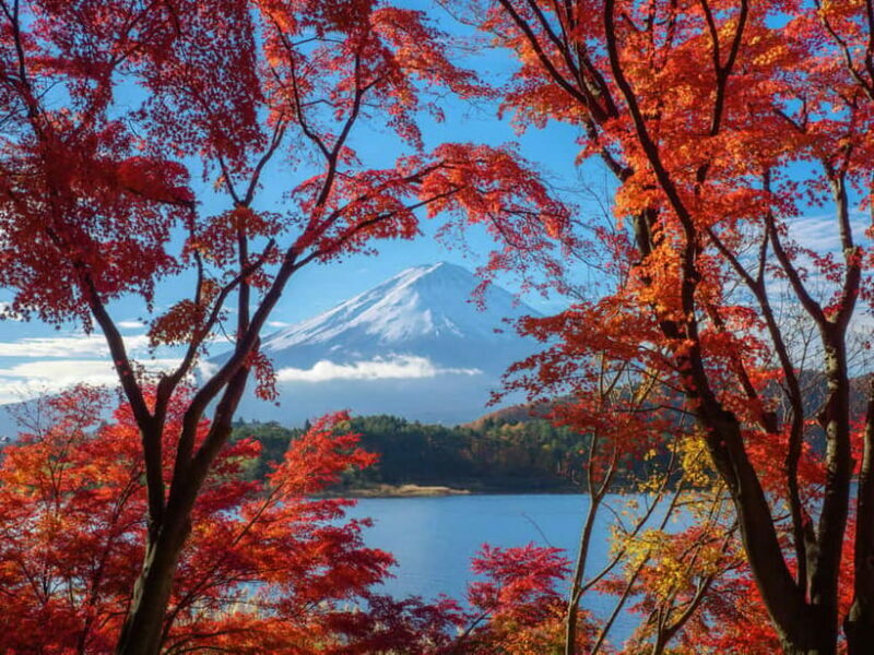 From Tokyo: Private Tour to Fuji/Hakone - Onsen, Art, Nature - FAQ